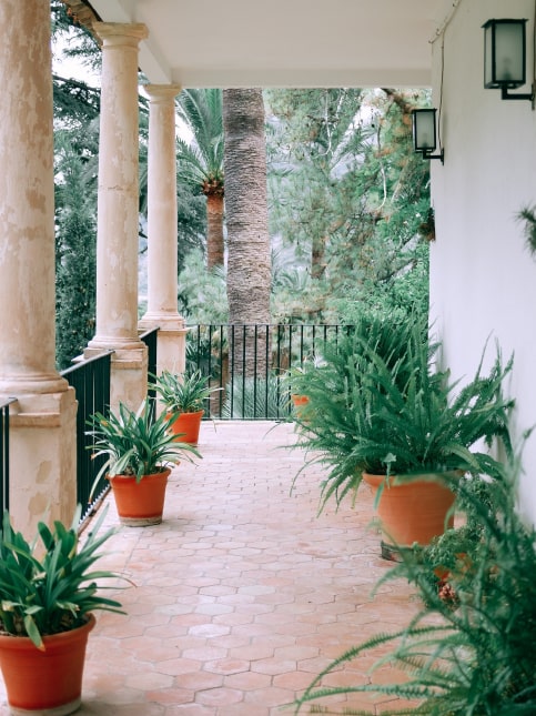 Best vastu tips for terrace garden - Beautiful Homes