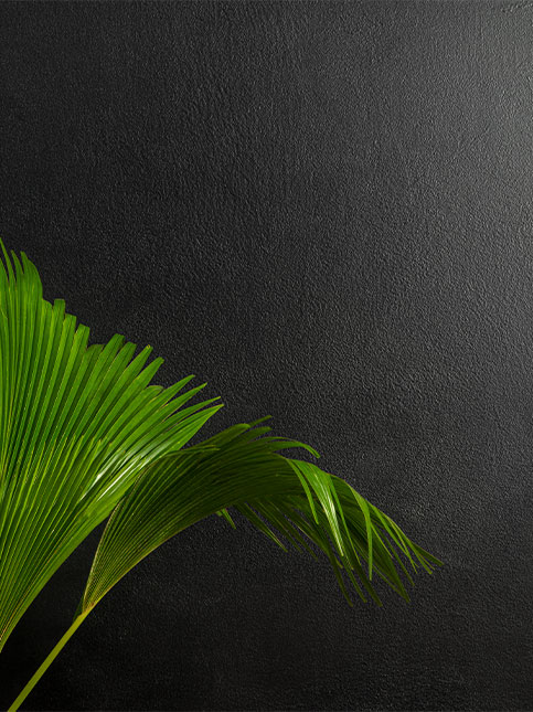 Royale Play Plateau Black Texture for your home– Beautiful Homes