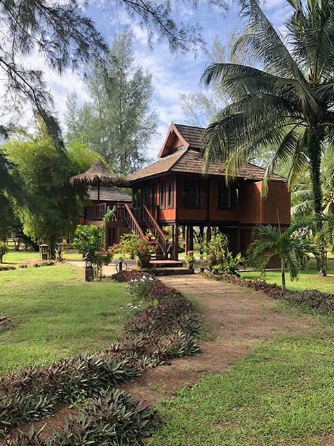 Bungalow design surrounded with greenery – Beautiful Homes